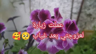 هدا هو القرار الصحيح لعملته🥰👍زيارة مفاجئه لعزوجتي😎ربي يحفظها🤲