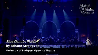 Blue Danube Waltz (Johann Strauss II) | Salute to Vienna & Budapest