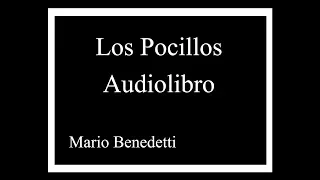 LOS POCILLOS AUDIOLIBRO