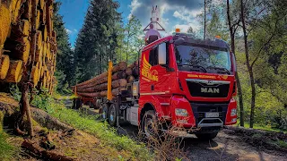 MAN TGX 33.580, Reichling Holztransporte,  Langholztransport #langholztransport #Holztransport