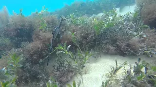 GoPro Hero 4 Black Underwater