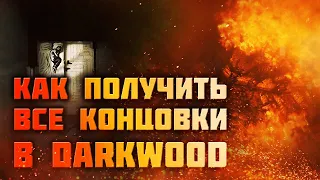 Как получить все концовки в Darkwood