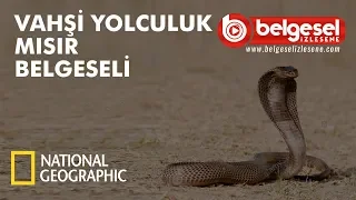 Vahşi Yolculuk Mısır Belgeseli - Türkçe Dublaj