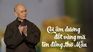 Thiền sư Thích Nhất Hạnh nói về Cõi Âm Dương, Đốt Vàng Mã, Lên Đồng, Thờ Mẫu