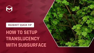 #RedshiftQuickTip 15: How to setup Translucency with Subsurface