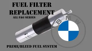 Fuel Filter Replacement & Prime/Bleed Fuel System (All F&G Series)