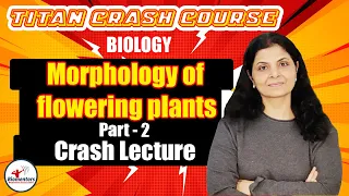 Biology l Morphology of Flowering Plants 2 l Titan Crash Course l NEET