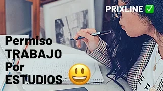 PRIXLINE ✅ Residencia para TRABAJO y/o PRÁCTICAS