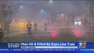 Man Struck, Killed By Metro Line Train In South LA
