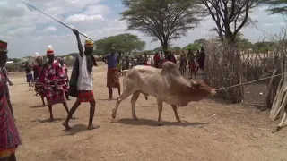 Turkana culture..