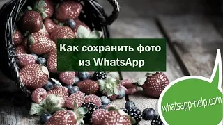 Как сохранить фото из WhatsApp