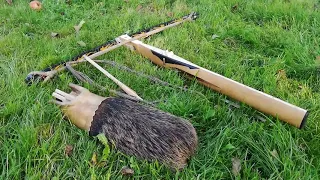 Crossbow vs great helm! Medieval composite crossbow shooting!