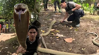 KING COBRA NG DOLORES HULE KAY COBRA PRINCE