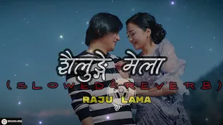 SAILUNGE MELA  || (Slowed & Reverb) RAJU LAMA  FT  ALISHA RAI  SAJAN MOKTAN || NEW MUSIC VIDEO 2024