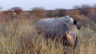 Wheeling around Namibia and Botswana