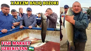 FISH MARKET PRICES UZBEKISTAN XORAZM BALIQ BOZORI QO'SHKO'PIR 4-May 2023