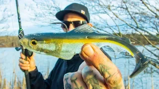 Unexpectedly Catching Numerous GIANT FISH In Shallow Water While Exploring New Lake