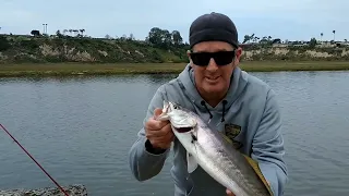 Newport Harbor Back Bay.. Surprise catch!