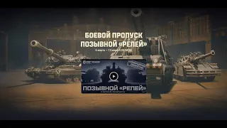 БОЕВОЙ ПРОПУСК ПОЗЫВНОЙ "РЕПЕЙ" # 13