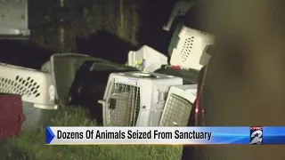 SPCA animal seizure