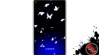 Butterfly Template Blackscreen | Kinemaster Templates | Kinemaster Background | Template Killer #05