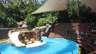 Sea lions' show — Loro Parque