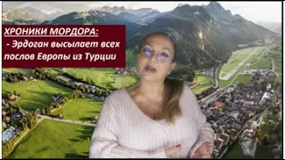 ХРОНИКИ МОРДОРА: Эрдоган_послы Европы  № 2989