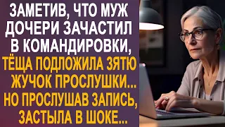 Заметив, что муж дочери зачастил в командировки, тёща подложила зятю в портфель жучок прослушки...