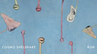 Cosmo Sheldrake - Run