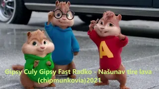 Gipsy Culy Gipsy Fast Radko-Našunav tire lava(chipmunkovia)2021