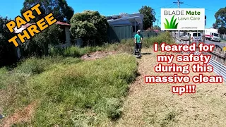 Tall grass cutting - Satisfying edging / overgrown cleanup PART THREE!