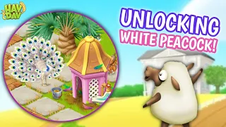 Hay day : Unlocking White Peacock!