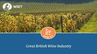 Great British Wine Industry