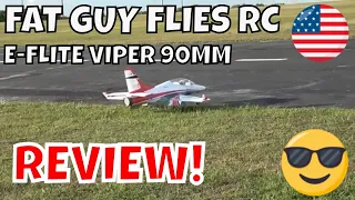 E-FLITE VIPER 90MM GREAT REVIEW!! by Fat Guy Flies RC