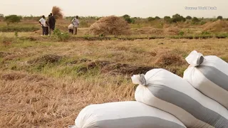 Resilient market systems support resilience of communities in Malawi