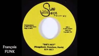 Sun Sect - She's Hot (1984) ♫