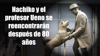 Hachiko y el profesor Ueno se reencontrarán después de 80 años