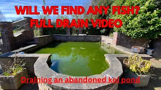 Draining an Abandoned Koi Pond!