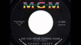 Sandy Posey - Are You Never Coming Home, Mono 1967 MGM 45 record.