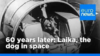 60 years on - Laika the dog in space