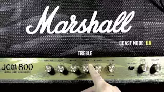 Marshall JCM 800 2203 KK Playthrough