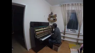 Настройщик пианино Денис