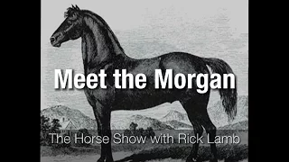 Meet the Morgan