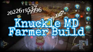 Cheap Knuckle Storm Farmer 1 Hit Build [Toram Online]