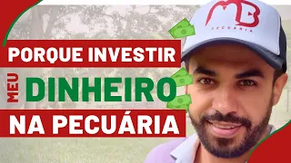 PORQUE INVESTIR NA PECUÁRIA? É LUCRATIVO CRIAR GADO? VALE A PENA?