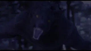Werewolf encounter in the Woods