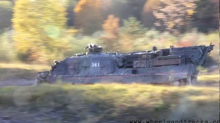 Leopard 2 und Büffel an Thun meets Army 2016