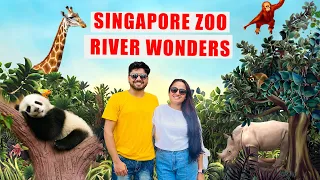 Singapore Zoo | River Wonders Singapore | Panda Zoo | Singapore Tourist places | Singapore | Mandai