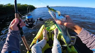CATCH, RELEASE, AND REPEAT - HOT Florida Jigging & Trolling SNOOK BITE
