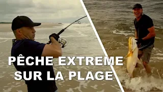 DES POISSONS ÉNORMES DEPUIS LA PLAGE ! - Cyril Chauquet